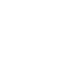 icons8 support 100